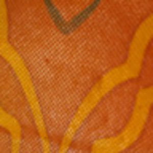 Meet your Posher, Karina